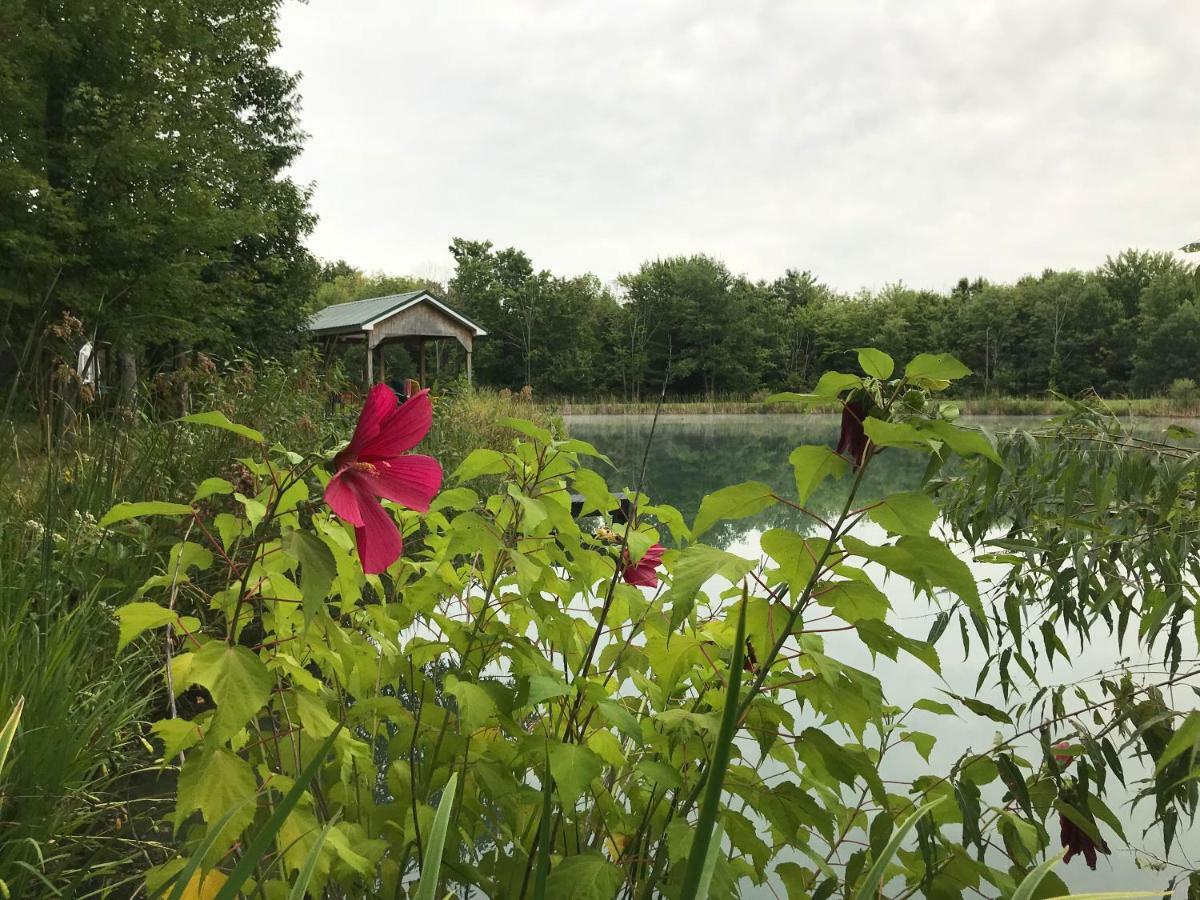 Letchworth Farm Otel Nunda Dış mekan fotoğraf