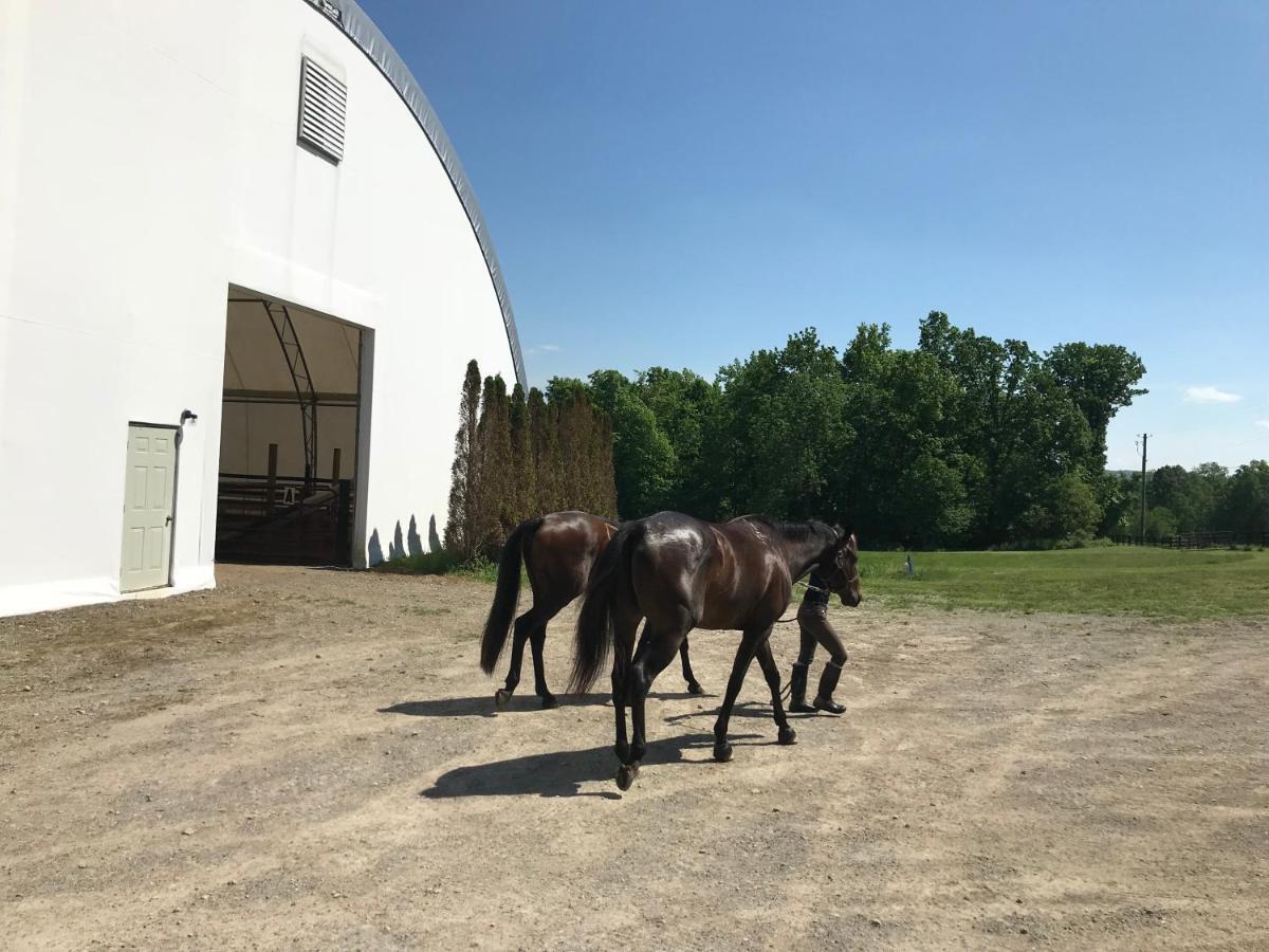 Letchworth Farm Otel Nunda Dış mekan fotoğraf