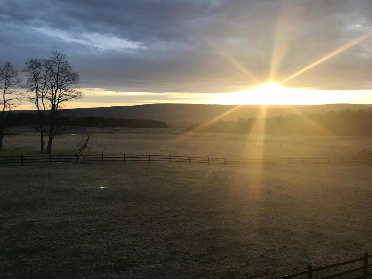 Letchworth Farm Otel Nunda Dış mekan fotoğraf